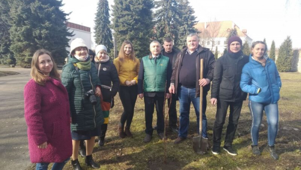 Лесина груша з Колодяжного цвістиме у Заповіднику і по всій Україні